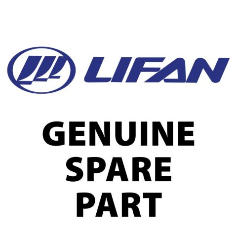 Danua Lifan Suction Hose Fits DAN3000A Pressure Washer DAN3000SH